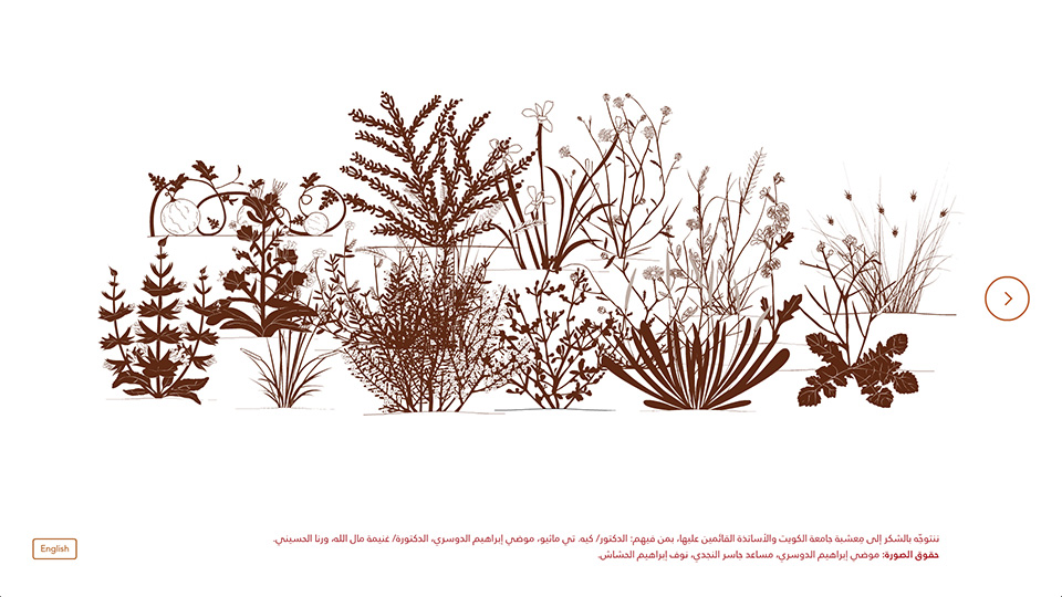 Herbarium Wall